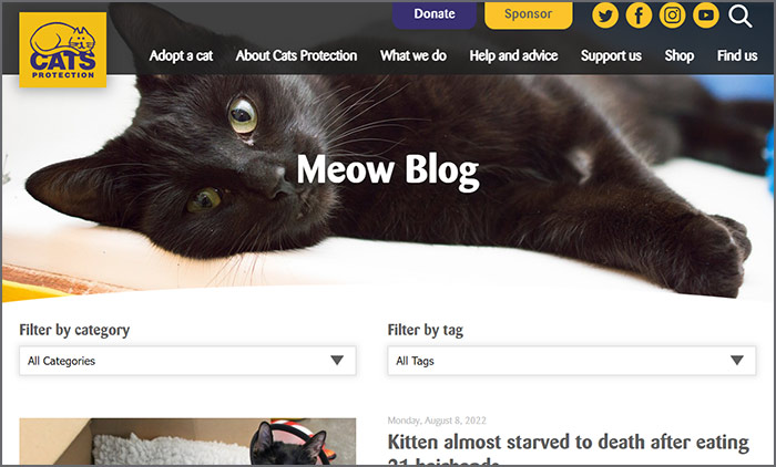 Meow Blog