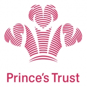 Princes Trust Logo Vuelio Client